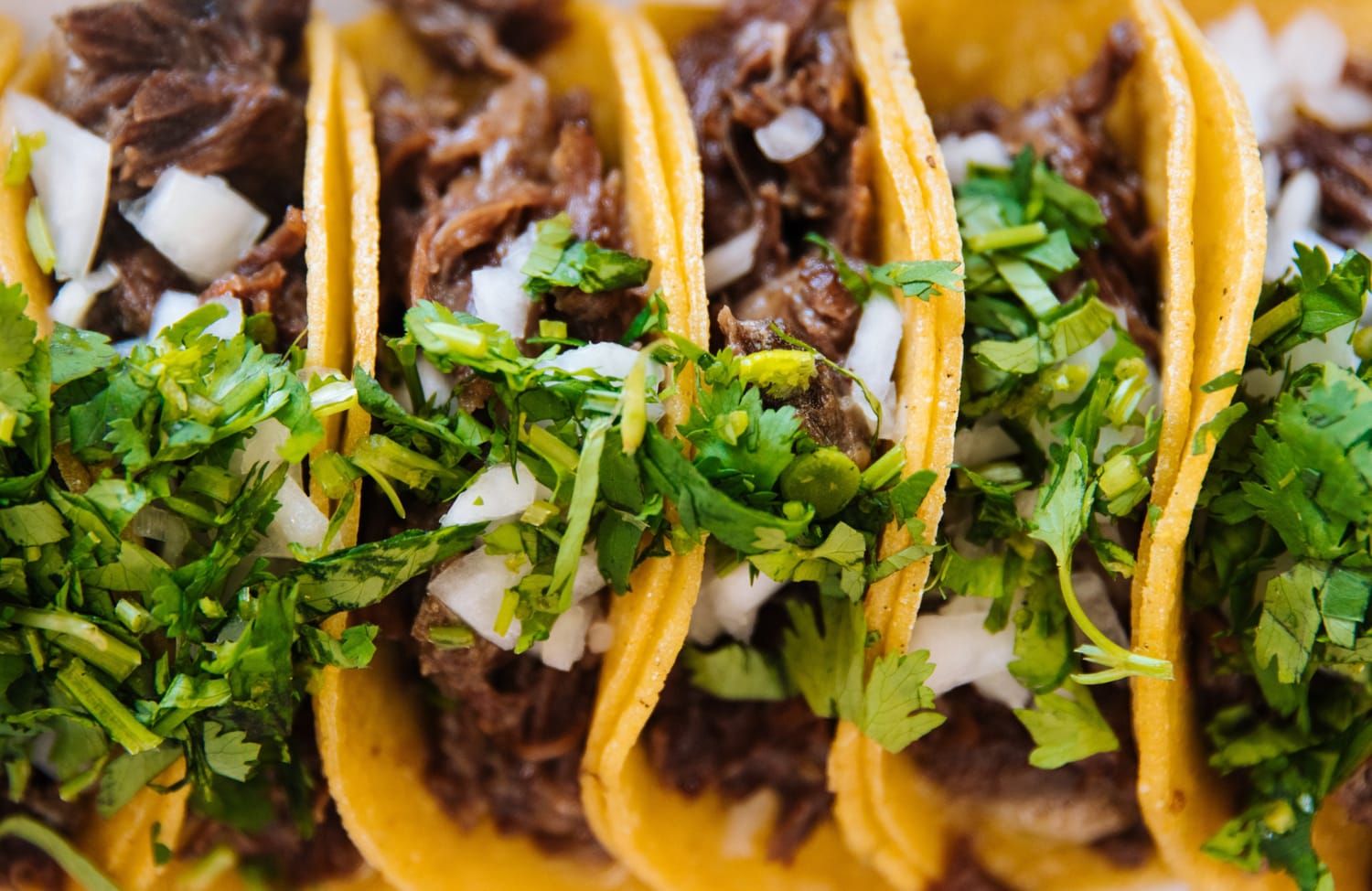 Birria-style tacos with rich dark consomé